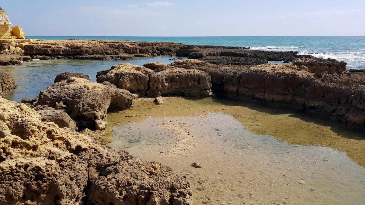 Albufeira Sea View Διαμέρισμα Εξωτερικό φωτογραφία