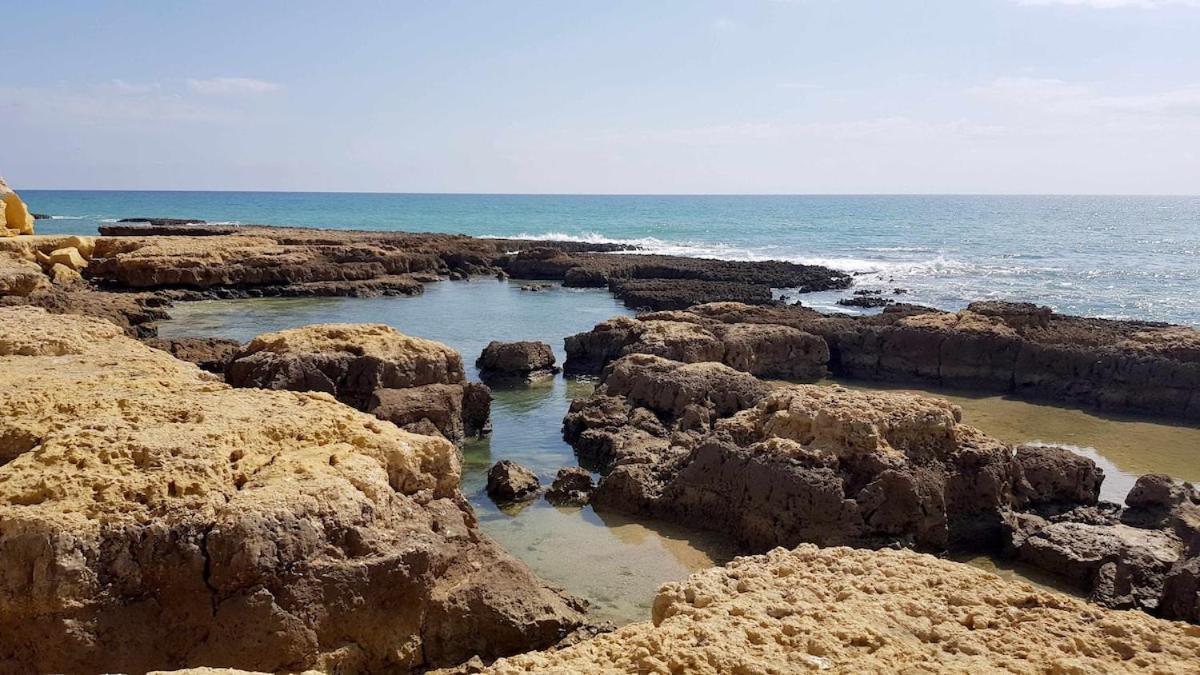 Albufeira Sea View Διαμέρισμα Εξωτερικό φωτογραφία