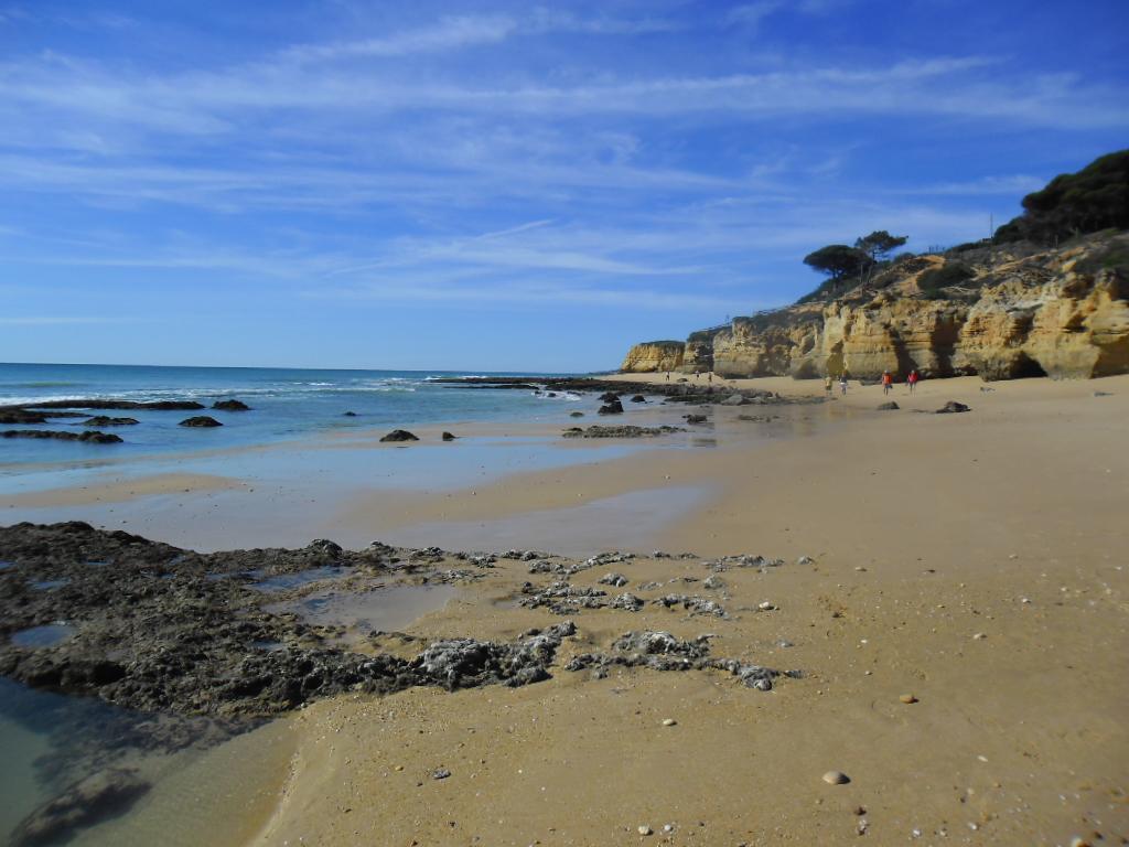 Albufeira Sea View Διαμέρισμα Εξωτερικό φωτογραφία